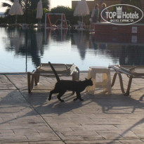 фото из отзыва ID 715065