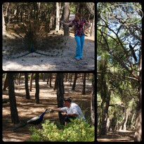 фото из отзыва ID 715308