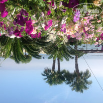 фото из отзыва ID 715626