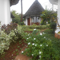 фото из отзыва ID 715782