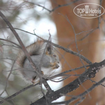 фото из отзыва ID 715935