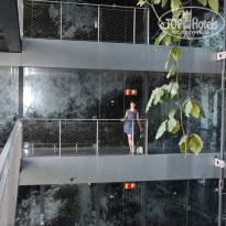 фото из отзыва ID 715055