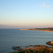 фото из отзыва ID 716152