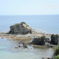 фото из отзыва ID 716632