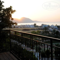 фото из отзыва ID 716632