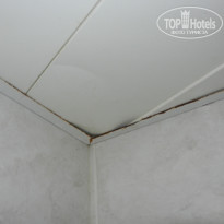 фото из отзыва ID 716680