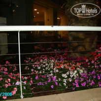 фото из отзыва ID 71604