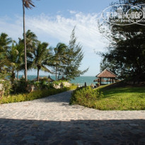 фото из отзыва ID 71682