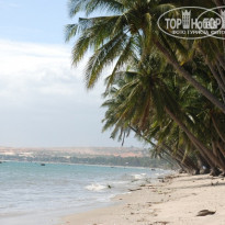 фото из отзыва ID 71682