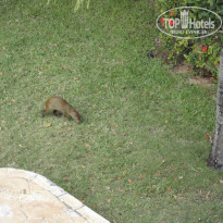 фото из отзыва ID 717012