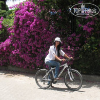 фото из отзыва ID 717140