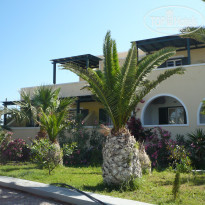 фото из отзыва ID 717153