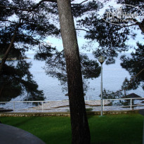 фото из отзыва ID 717173