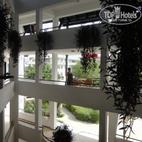 фото из отзыва ID 717365