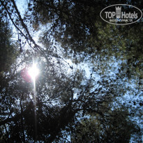 фото из отзыва ID 717449