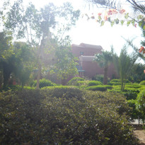 фото из отзыва ID 717522