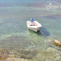 фото из отзыва ID 717564