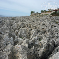 фото из отзыва ID 717568