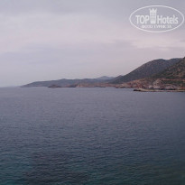 фото из отзыва ID 717807