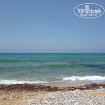 фото из отзыва ID 717955