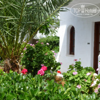 фото из отзыва ID 718299