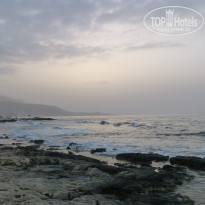 фото из отзыва ID 718299