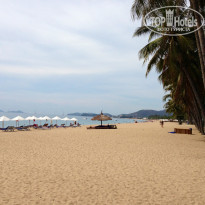 фото из отзыва ID 718592