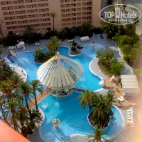 фото из отзыва ID 71863