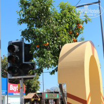 фото из отзыва ID 719878