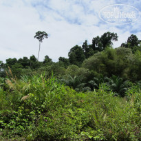 фото из отзыва ID 719224