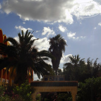 фото из отзыва ID 719252