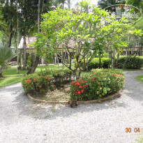 фото из отзыва ID 719379