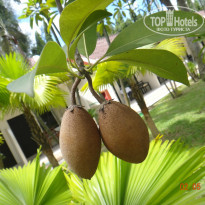 фото из отзыва ID 719379