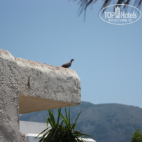 фото из отзыва ID 719505