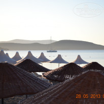 фото из отзыва ID 719725