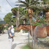 фото из отзыва ID 719736