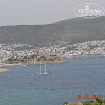 фото из отзыва ID 719725