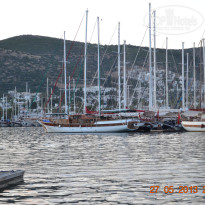 фото из отзыва ID 719725