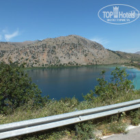 фото из отзыва ID 719987