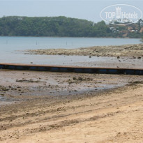 фото из отзыва ID 71982