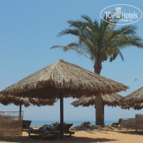 фото из отзыва ID 720085