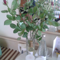 фото из отзыва ID 720306