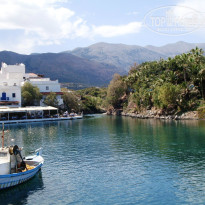 фото из отзыва ID 720642