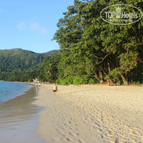 фото из отзыва ID 720687