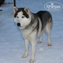 фото из отзыва ID 720788