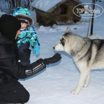 фото из отзыва ID 720788