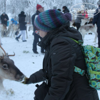 фото из отзыва ID 720788