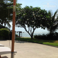 фото из отзыва ID 721125