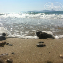 фото из отзыва ID 721325