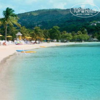 фото из отзыва ID 721890